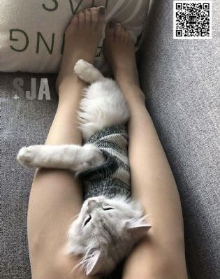东北熟女边打电话边啪啪3p_DVD日本电影免费