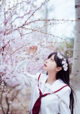 天堂av综合_免费追剧在线观看